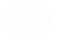 Valley Veterinary Clinic